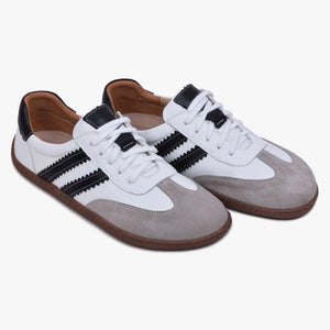 Kampol - 503/BC Vit