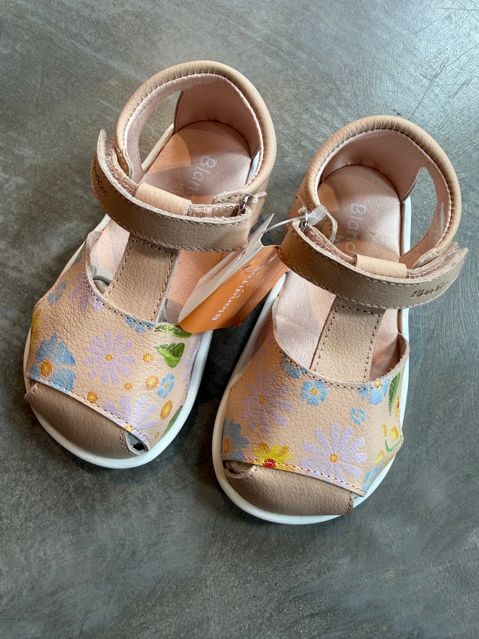 BLANDITOS - JAVA FPINK26V
