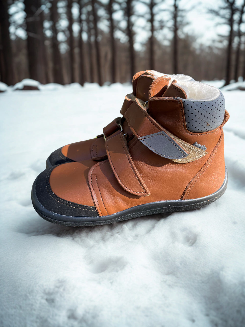 BEDA - Vinter Bruno