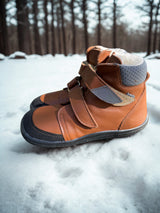 BEDA - Vinter Bruno