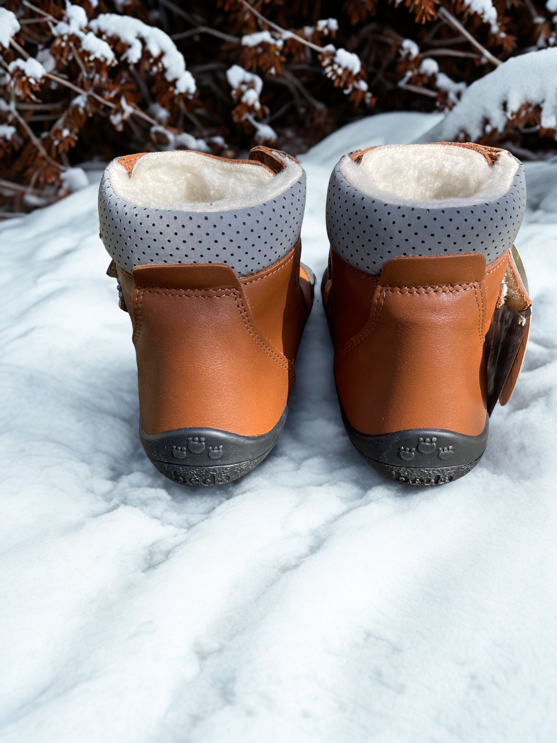 BEDA - Vinter Bruno