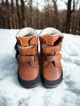 BEDA - Vinter Bruno